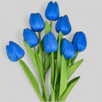 Islak Lale 8 Li Lacivert